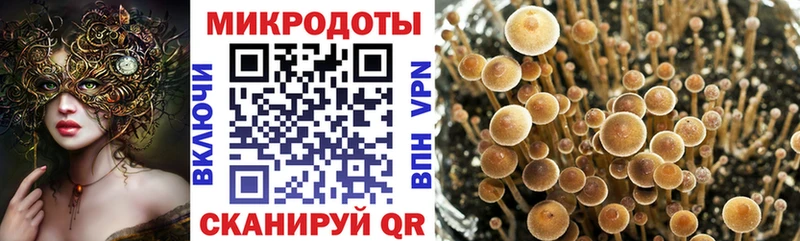 Галлюциногенные грибы ЛСД  Новое Девяткино 